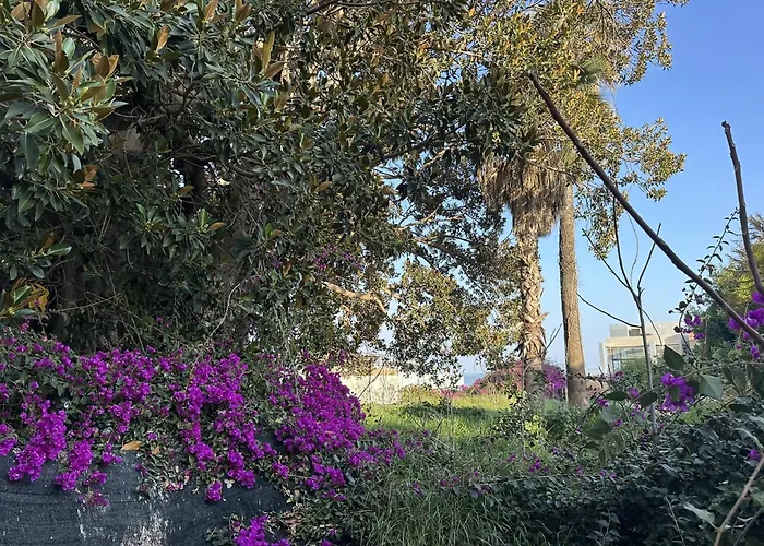 En Pleno Centro De Τορρεμολίνος