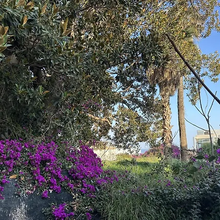 En Pleno Centro De Torremolinos