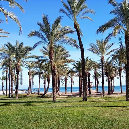 En Pleno Centro De *